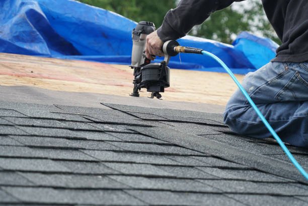 Best Roof Leak Repair  in Eastwood, MI