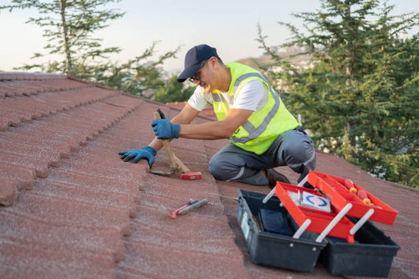 Best Roof Restoration Services  in Eastwood, MI