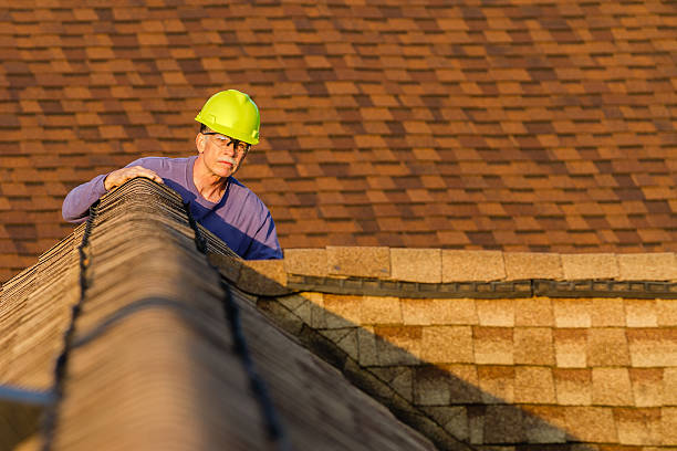 Best Local Roofing Companies  in Eastwood, MI