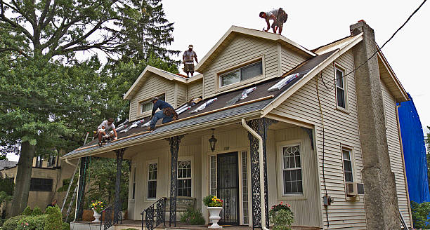 Best New Roof Installation  in Eastwood, MI