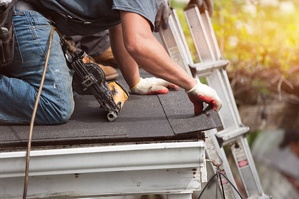 Best Roof Restoration Services  in Eastwood, MI