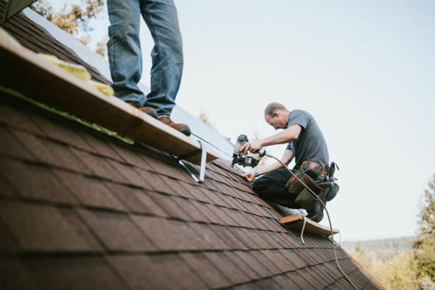 Quick and Trustworthy Emergency Roof Repair Services in Eastwood, MI