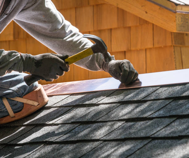 Best Roof Gutter Cleaning  in Eastwood, MI